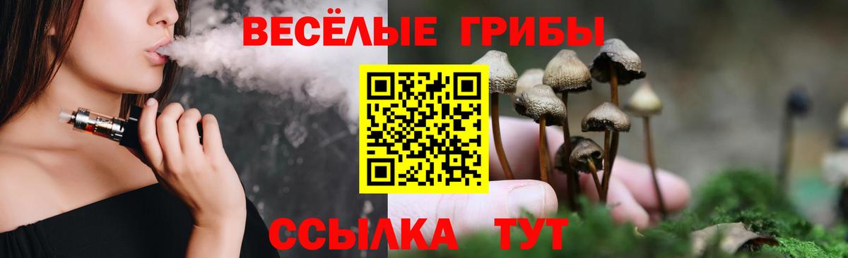 Мценск  Галлюциногенные грибы прущие грибы  Вход с VPN 